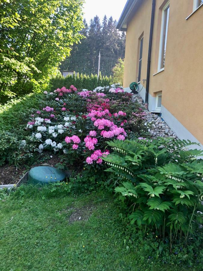 Am Wildbach Bei Passau Appartement Saming Buitenkant foto