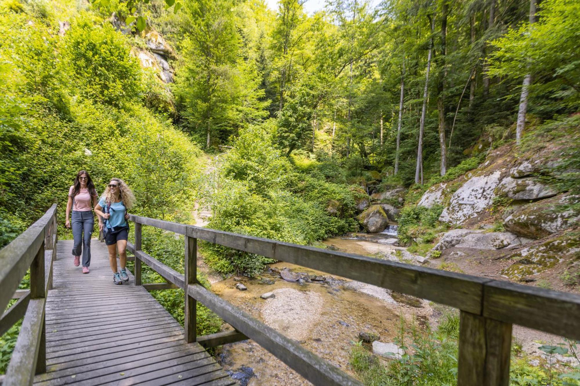 Am Wildbach Bei Passau Appartement Saming Buitenkant foto
