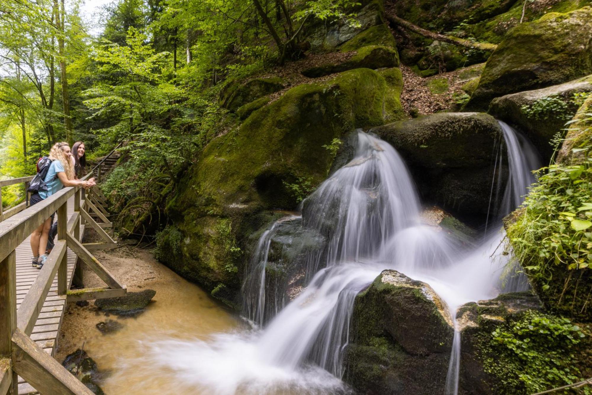 Am Wildbach Bei Passau Appartement Saming Buitenkant foto