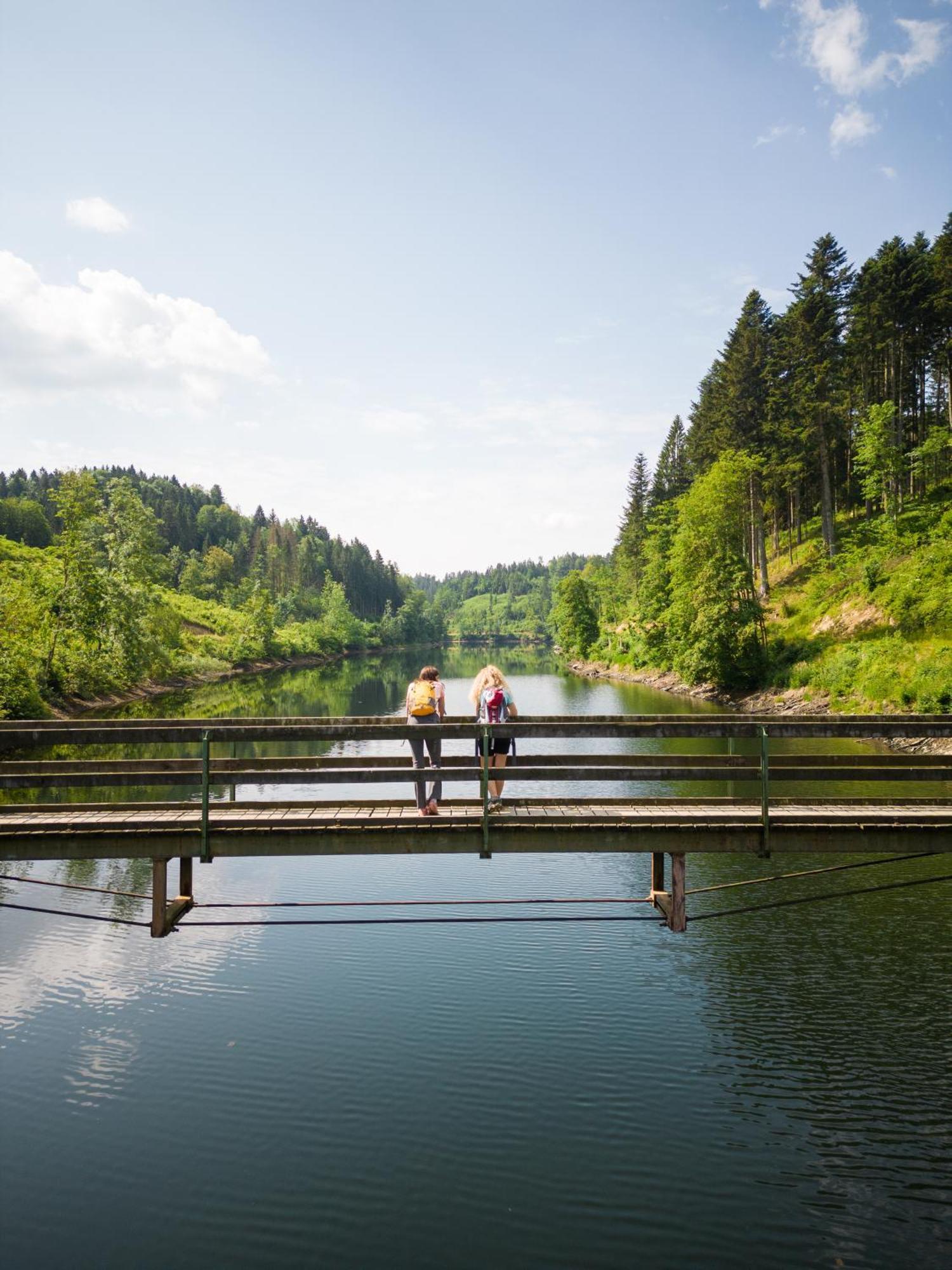 Am Wildbach Bei Passau Appartement Saming Buitenkant foto